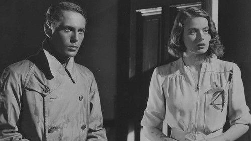 The Four Companions filmas žiurėti online