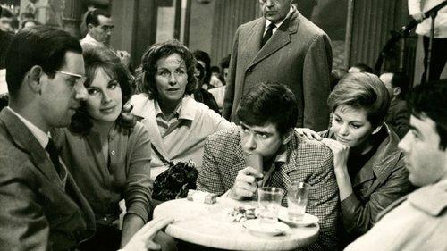 The Dolphins filmas žiurėti online