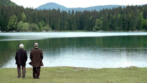 The Girl by the Lake filmas žiurėti online