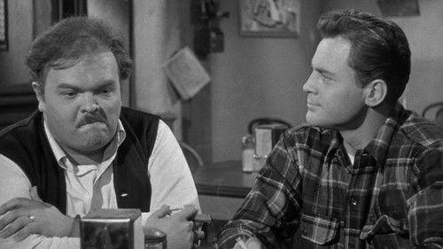 Bait filmas žiurėti online