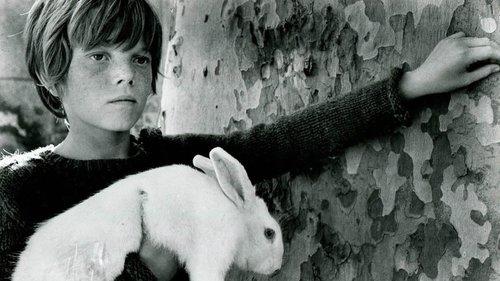 Secret World filmas žiurėti online