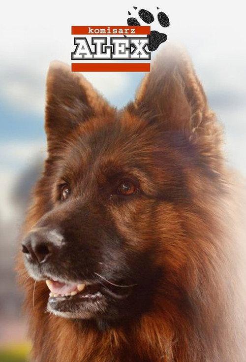 Komisarz Alex filmas online