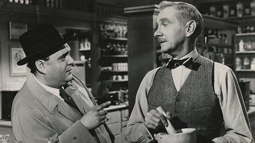 Mr. Belvedere Rings the Bell filmas žiurėti online