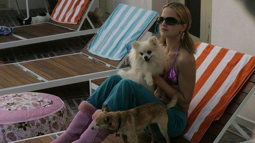 The Dog Problem filmas žiurėti online