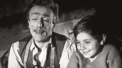 L'uomo dai calzoni corti filmas žiurėti online