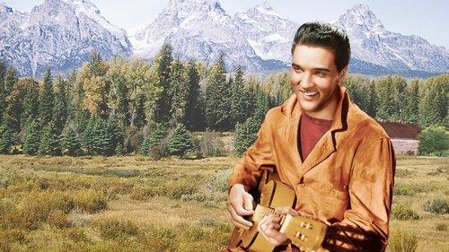 Wild in the Country filmas žiurėti online