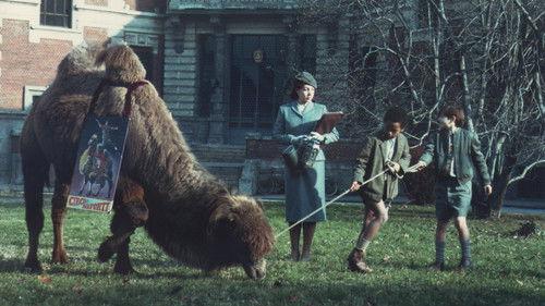 Luna e l'altra filmas žiurėti online