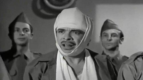 El gato sin botas filmas žiurėti online