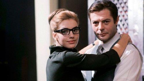 Kiss the Other Sheik filmas žiurėti online