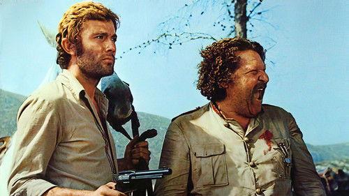 Watch Out Gringo! Sabata Will Return filmas žiurėti online