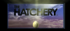 The Hatchery studio logo
