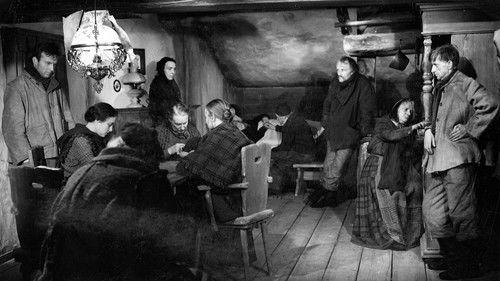 The Beacon filmas žiurėti online