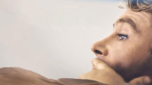 Peter O'Toole: Along the Sky Road to Aqaba filmas žiurėti online