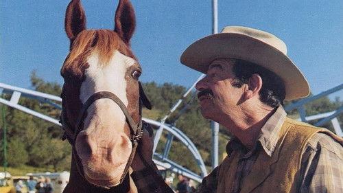 Casey's Shadow filmas žiurėti online