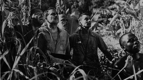 Bloody Hands filmas žiurėti online