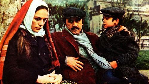 The Bride filmas žiurėti online