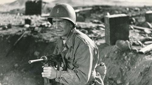 Target Zero filmas žiurėti online