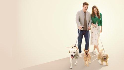 The More Love Grows filmas žiurėti online