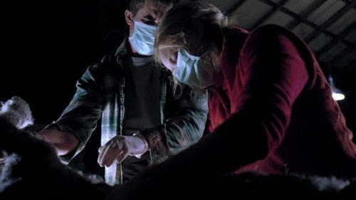 Isolation filmas žiurėti online