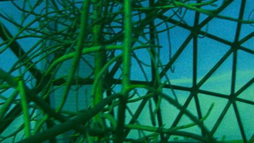 Ornette: Made in America filmas žiurėti online