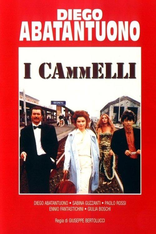 I cammelli filmas online