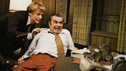 Willard filmas žiurėti online