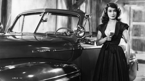 Hell Road filmas žiurėti online