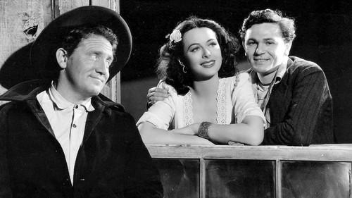 Tortilla Flat filmas žiurėti online