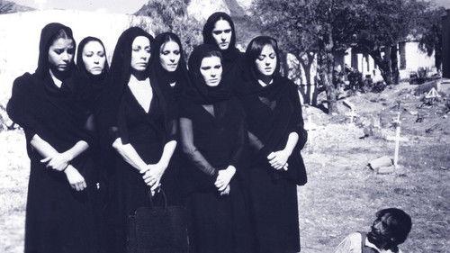 The Seven Cucas filmas žiurėti online