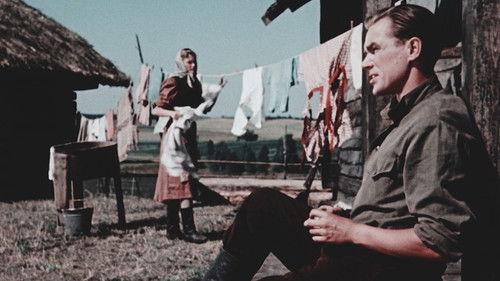 Valgus Koordis filmas žiurėti online