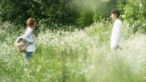 Alice: Boy from Wonderland filmas žiurėti online