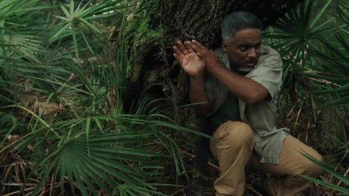 Megaboa filmas žiurėti online