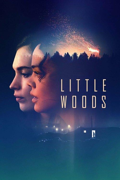 Little Woods filmas online