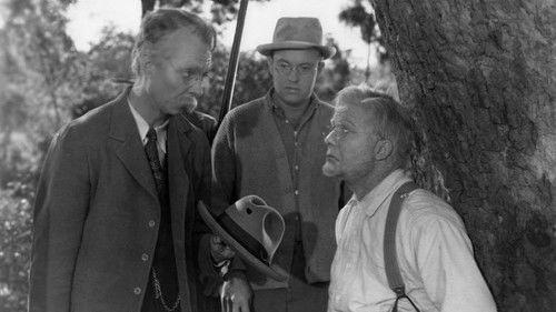 The Bashful Bachelor filmas žiurėti online