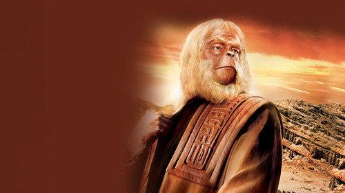 Po Beždžionių Planeta filmas žiurėti online