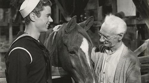 Gallant Bess filmas žiurėti online