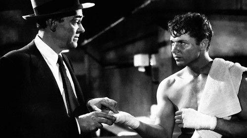 World in My Corner filmas žiurėti online