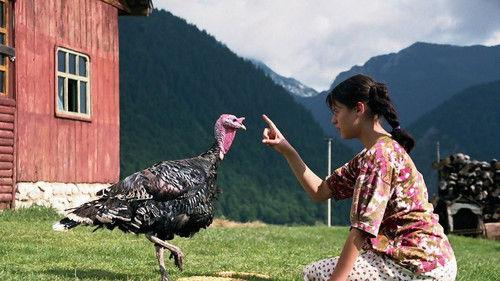 Lost and Found filmas žiurėti online