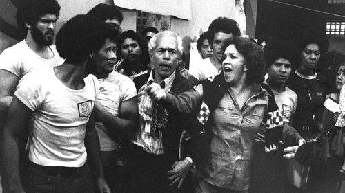 The Flock of Angels filmas žiurėti online