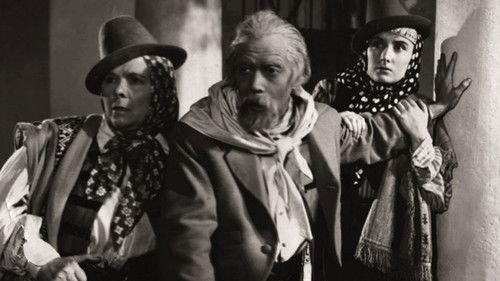 Vidalita filmas žiurėti online