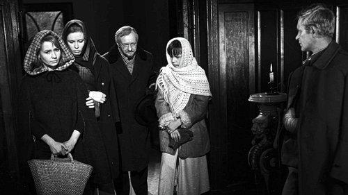 The First Day of Freedom filmas žiurėti online