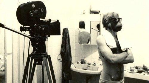 Bang Bang filmas žiurėti online