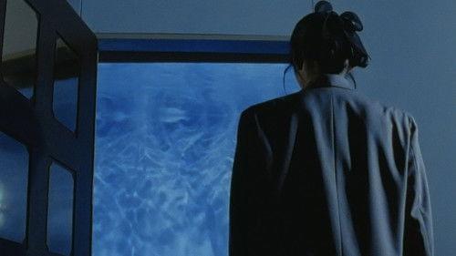 Door II: Tokyo Diary filmas žiurėti online