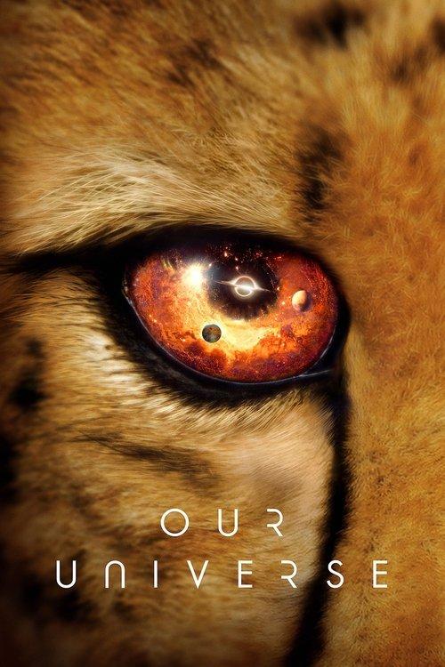 Our Universe filmas online