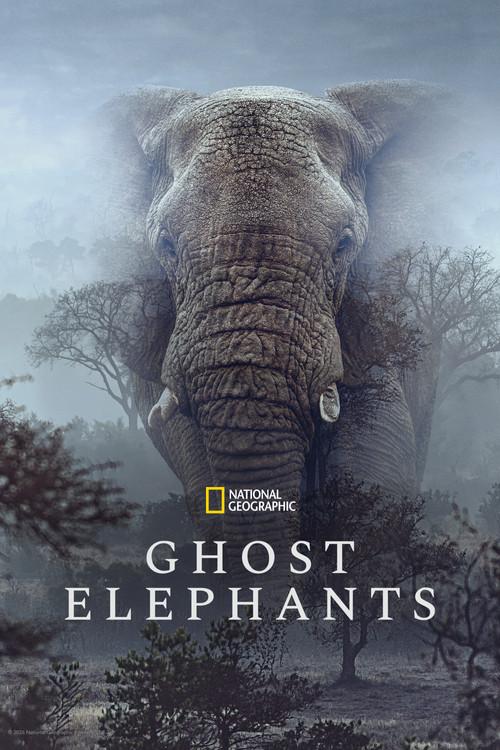 Ghost Elephants filmas online