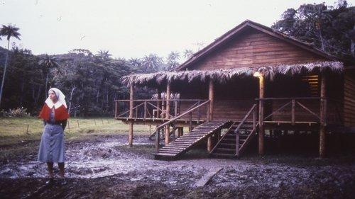 An Indecent Obsession filmas žiurėti online