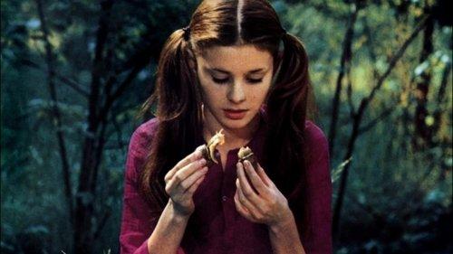 At the Meeting with Joyous Death filmas žiurėti online