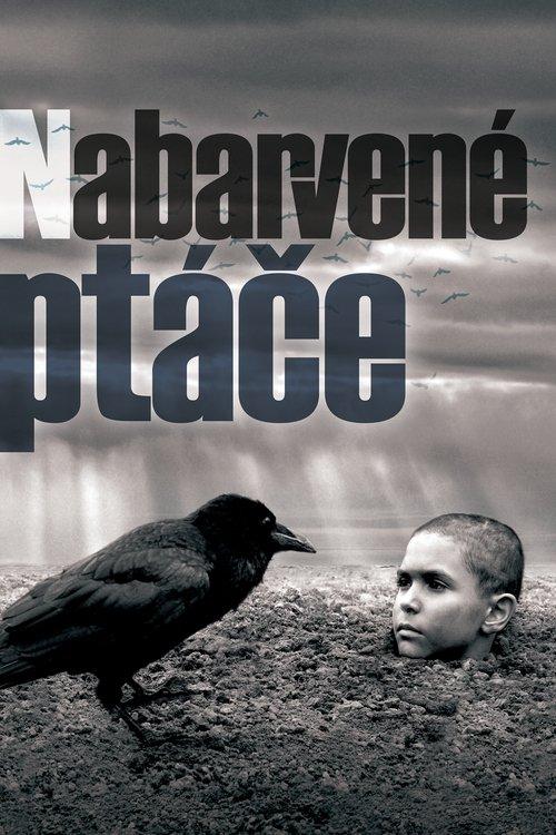 Dažytas paukštis filmas online