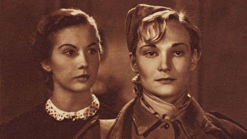 City of Pain filmas žiurėti online