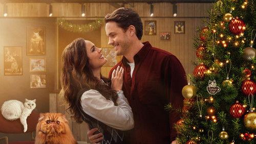 Christmas at the Catnip Café filmas žiurėti online